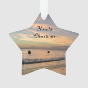 Ornement de Noël de la Floride