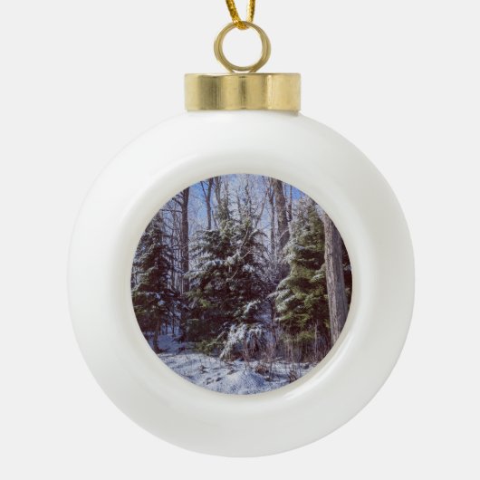 Ornement de Noël de la forêt enneigée (Devant)