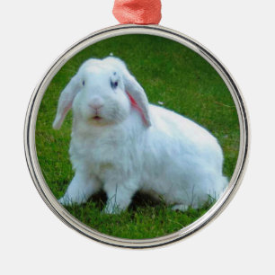 ornement de Noël de lapin