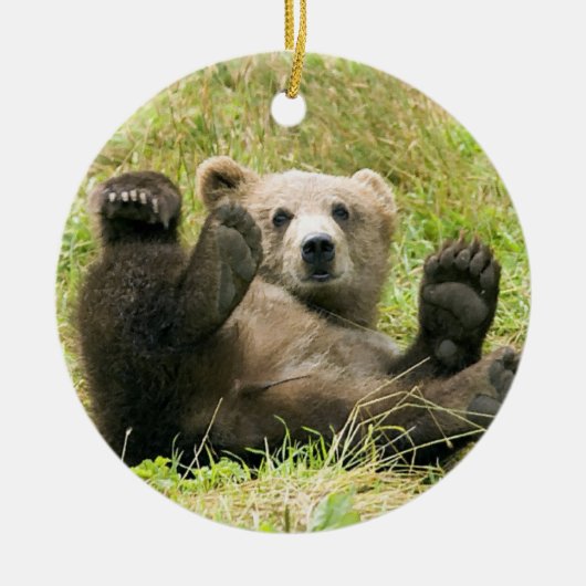 Ornement de Noël de l'ours Brown (Devant)