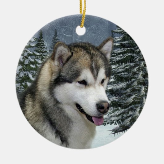Ornement de Noël de Malamute (Devant)