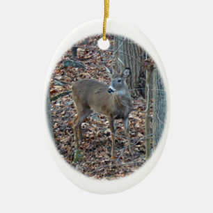 Ornement de Noël de mâle de transitoire de cerf 
