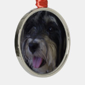 ornement de Noël de maltipoo (Droite)