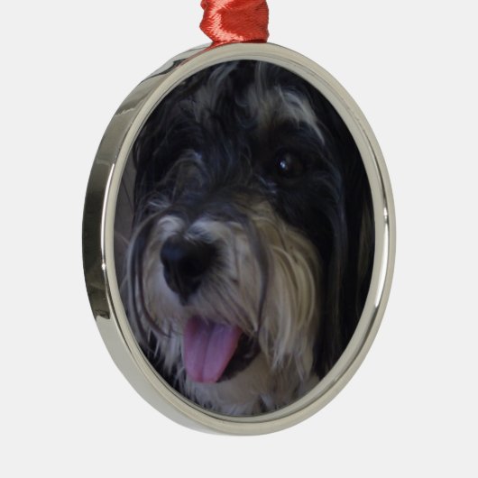 ornement de Noël de maltipoo (Droite)