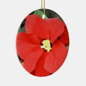 Ornement de Noël de Noche Buena (Droite)