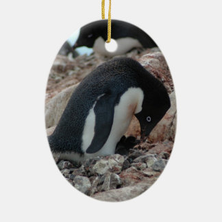Ornement de Noël de pingouin d'Adelie