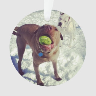 Ornement de Noël de pitbull