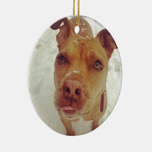 Ornement de Noël de pitbull (Droite)