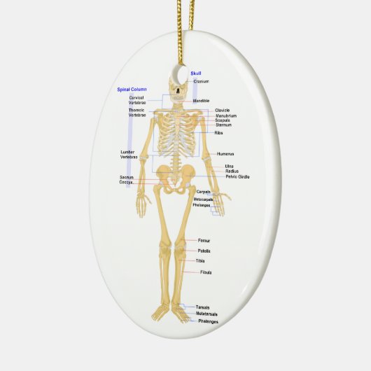 Ornement de Noël de professeur de Sciences (Gauche)