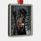 Ornement de Noël de rottweiler (Droite)