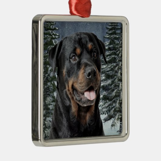 Ornement de Noël de rottweiler (Droite)