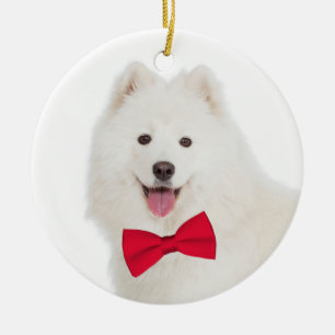 Ornement de Noël de Samoyed