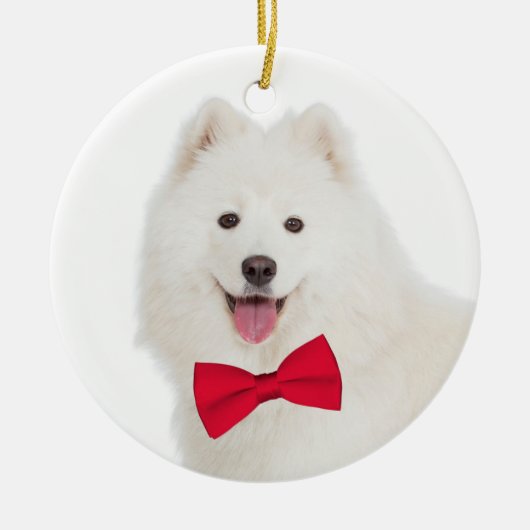 Ornement de Noël de Samoyed (Devant)