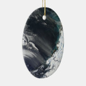 Ornement de Noël de tempête de poussière de (Droite)