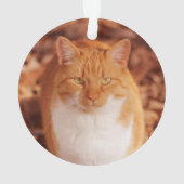 Ornement de Noël de vacances de chat tigré de (dos)