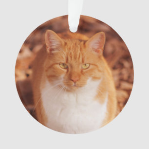 Ornement de Noël de vacances de chat tigré de