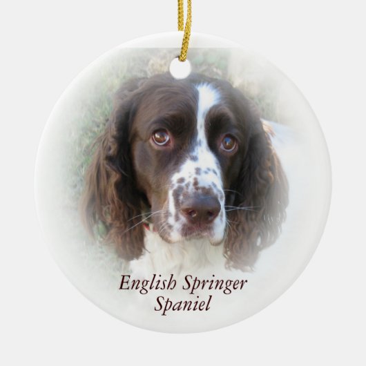 Ornement de Noël d'épagneul de springer anglais (Devant)