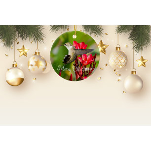 Ornement de Noël des colibris