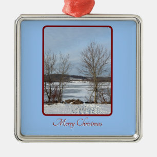 Ornement de Noël d'hiver du lac Galena