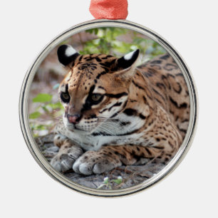 Ornement de Noël d'Ocelot