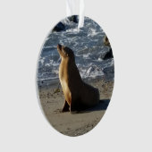 Ornement de Noël d'otarie (devant)