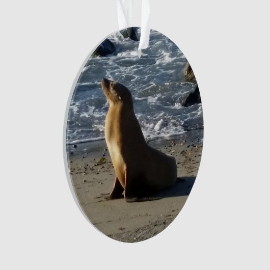 Ornement de Noël d'otarie (devant)