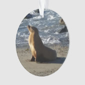 Ornement de Noël d'otarie (devant)