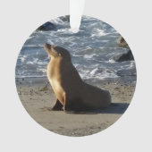 Ornement de Noël d'otarie (devant)