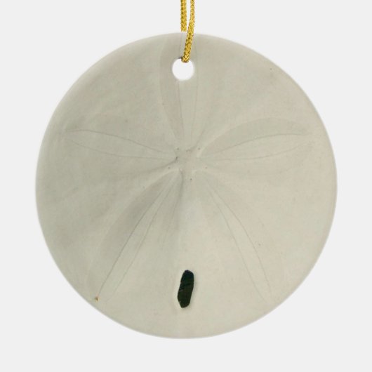 Ornement de Noël en forme de dollar de sable blanc (Devant)