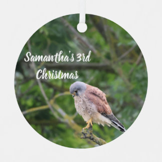 Ornement de Noël en photo personnalisé de l'épervi