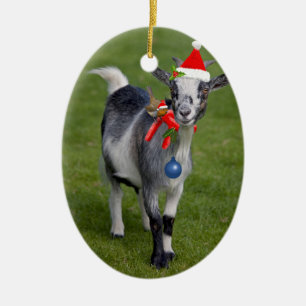 Ornement de Noël Pals