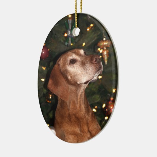 Ornement de Noël (Paris) (Gauche)