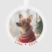 Ornement de Noël personnalisé pour animal de compa (devant)