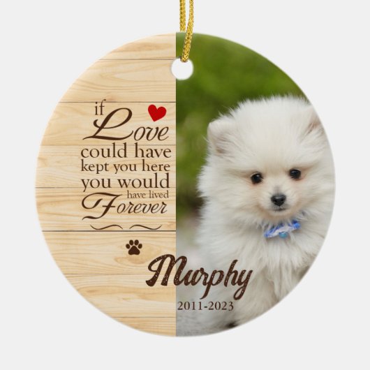 Ornement de Noël personnalisé pour chien/chat (Devant)