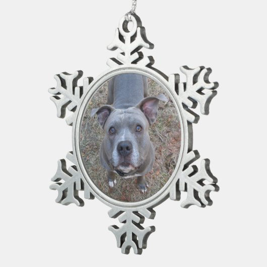 Ornement de Noël pitbull adorable (Vue impression)