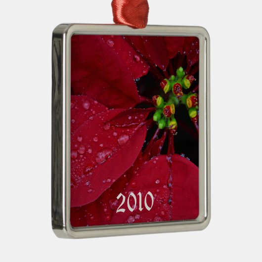 Ornement de Noël Ponsettia (Droite)