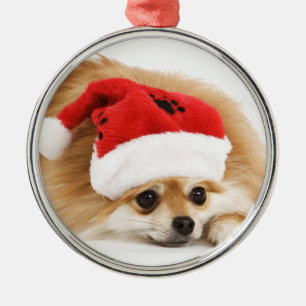 Ornement de Noël pour animal domestique mignon