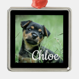 Ornement de Noël pour animal familier Chien Chat P