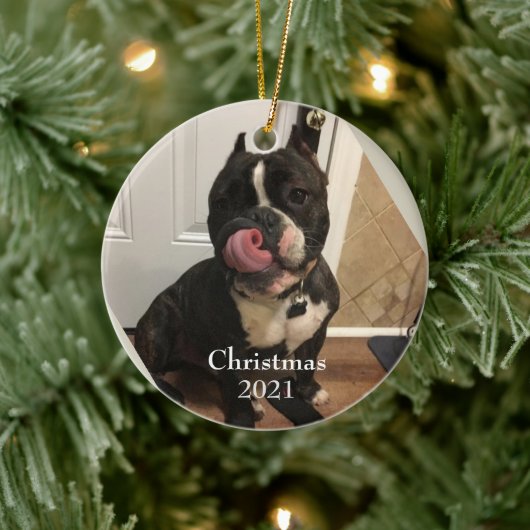 Ornement de Noël pour bébé fourrure (Arbre)