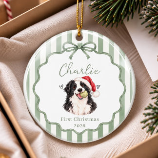 Ornement de Noël premier vert pour animaux avec un