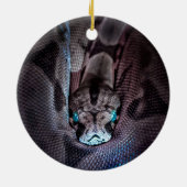 Ornement de Noël serpent Ornement serpent (Dos)