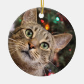 Ornement de Noël Tabby (Devant)