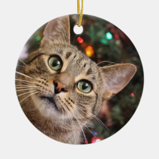 Ornement de Noël Tabby (Devant)