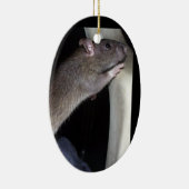 ORNEMENT DE OBSERVATION DE RAT (Droite)