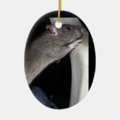 ORNEMENT DE OBSERVATION DE RAT (Devant)