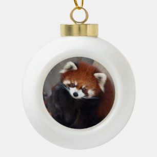 Ornement de panda rouge
