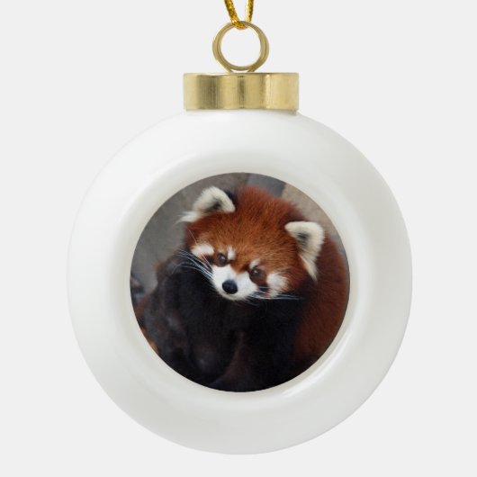 Ornement de panda rouge (Devant)