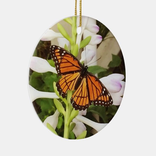 Ornement de papillon (Droite)