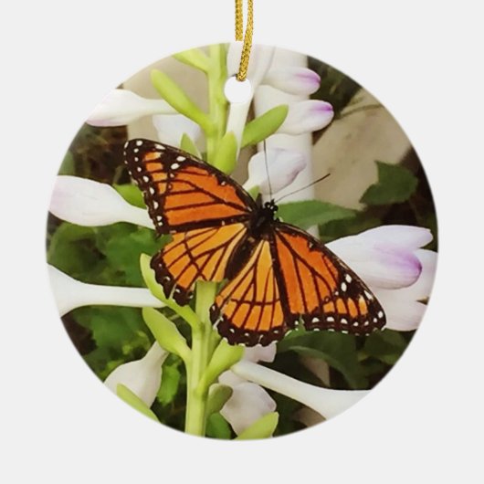 Ornement de papillon (Devant)