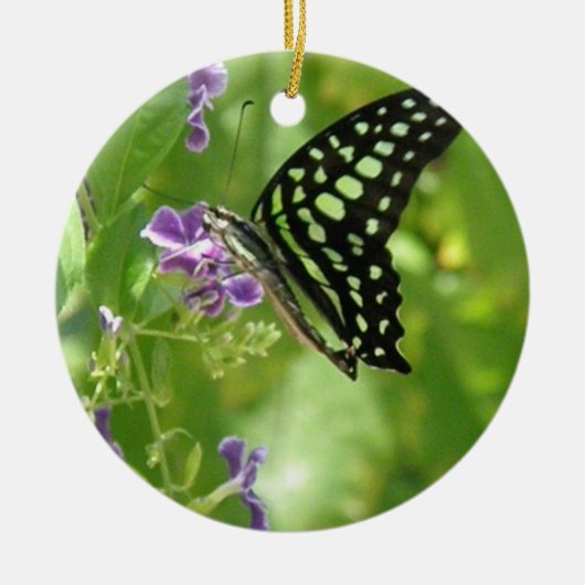 Ornement de papillon de jardin (Devant)
